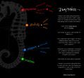 PlayWrite Inc