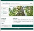 Vertus Capital LLC